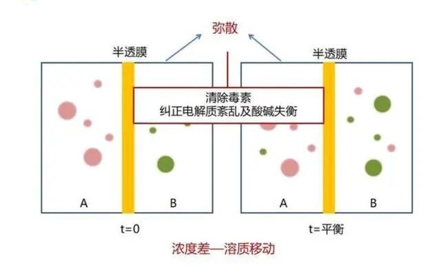 血液透析是什麼，你對它了解有(yǒu)多(duō)少？